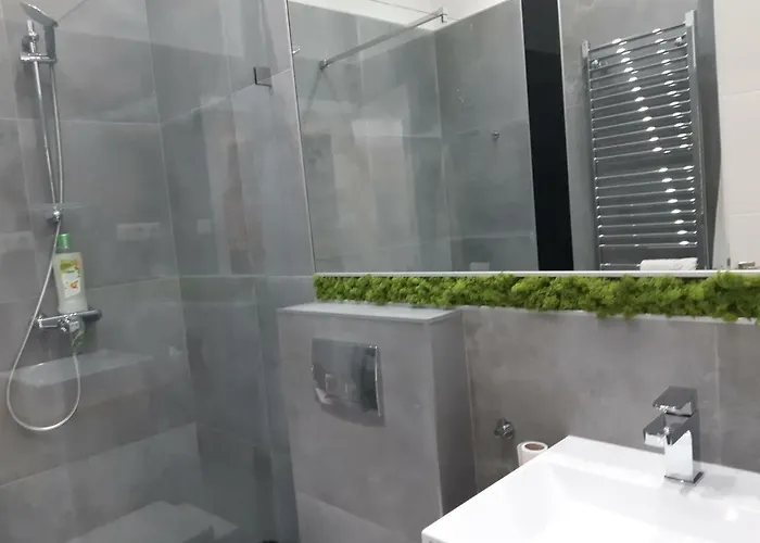 Premium One-Bedroom Apartment